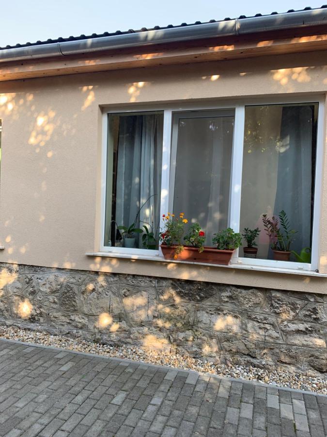 Ica Vendeghaz Appartement Sutto Buitenkant foto